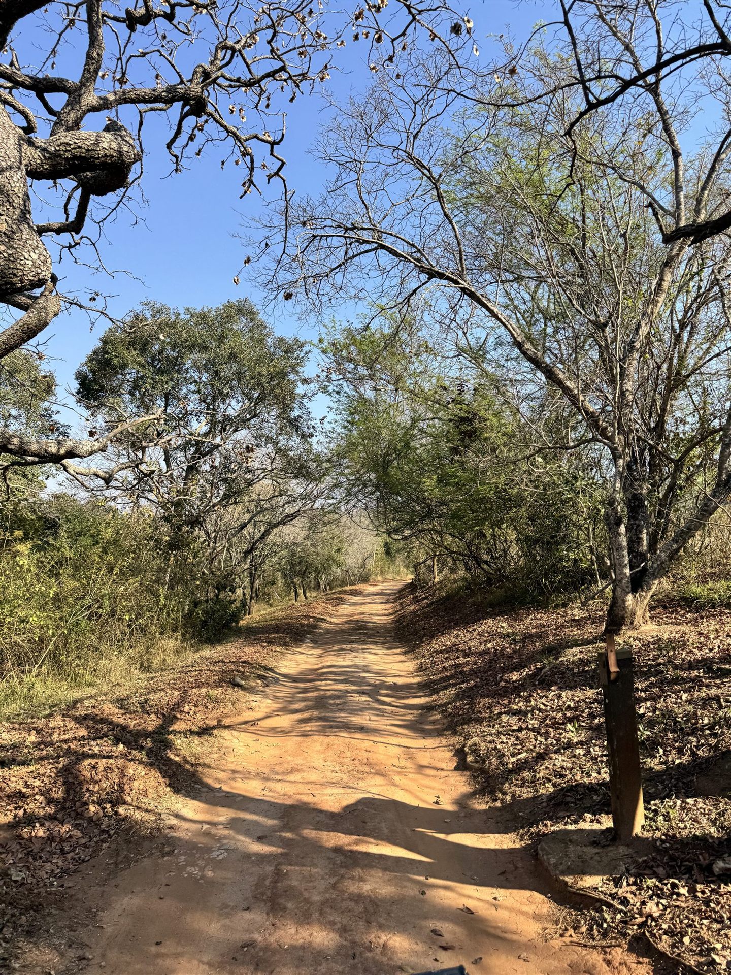 Natural bushveld road leading to JW Shooting Range